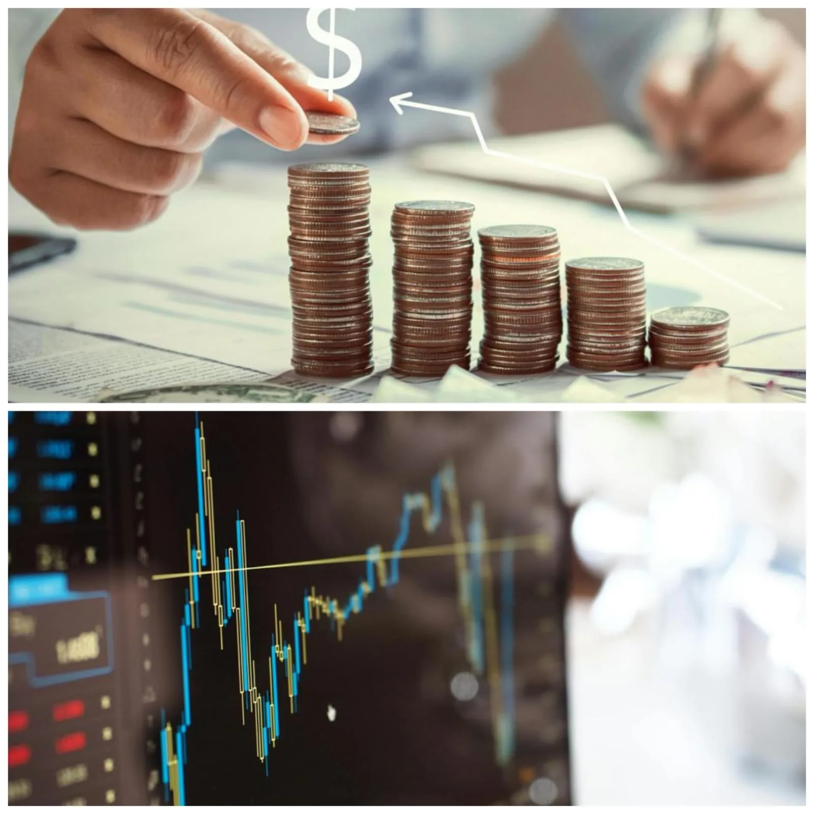 Compreendendo, Perfil Investidor e a Diferença entre Renda Fixa e Renda Variável
